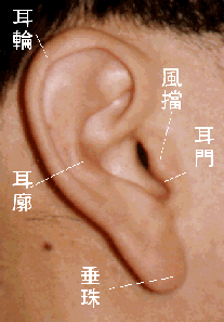 面相图解耳